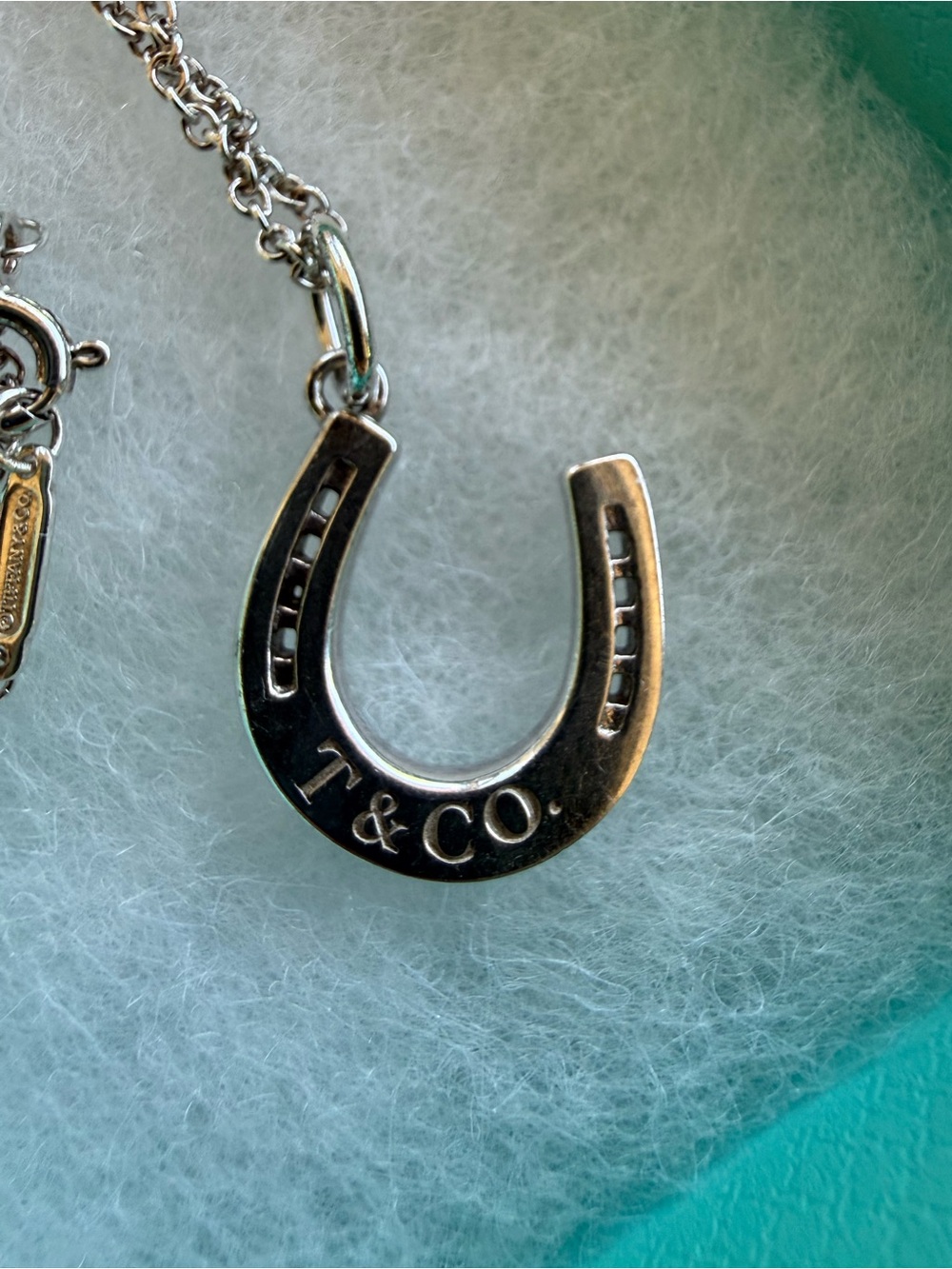 Tiffany & Co. Vintage Silver Horseshoe Pendant and chain necklace - Picture 2 of 5